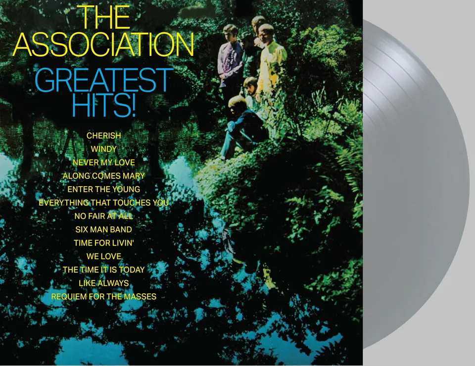 friday-music-the-association-greatest-hits-vinyl-silber-metallic image 1