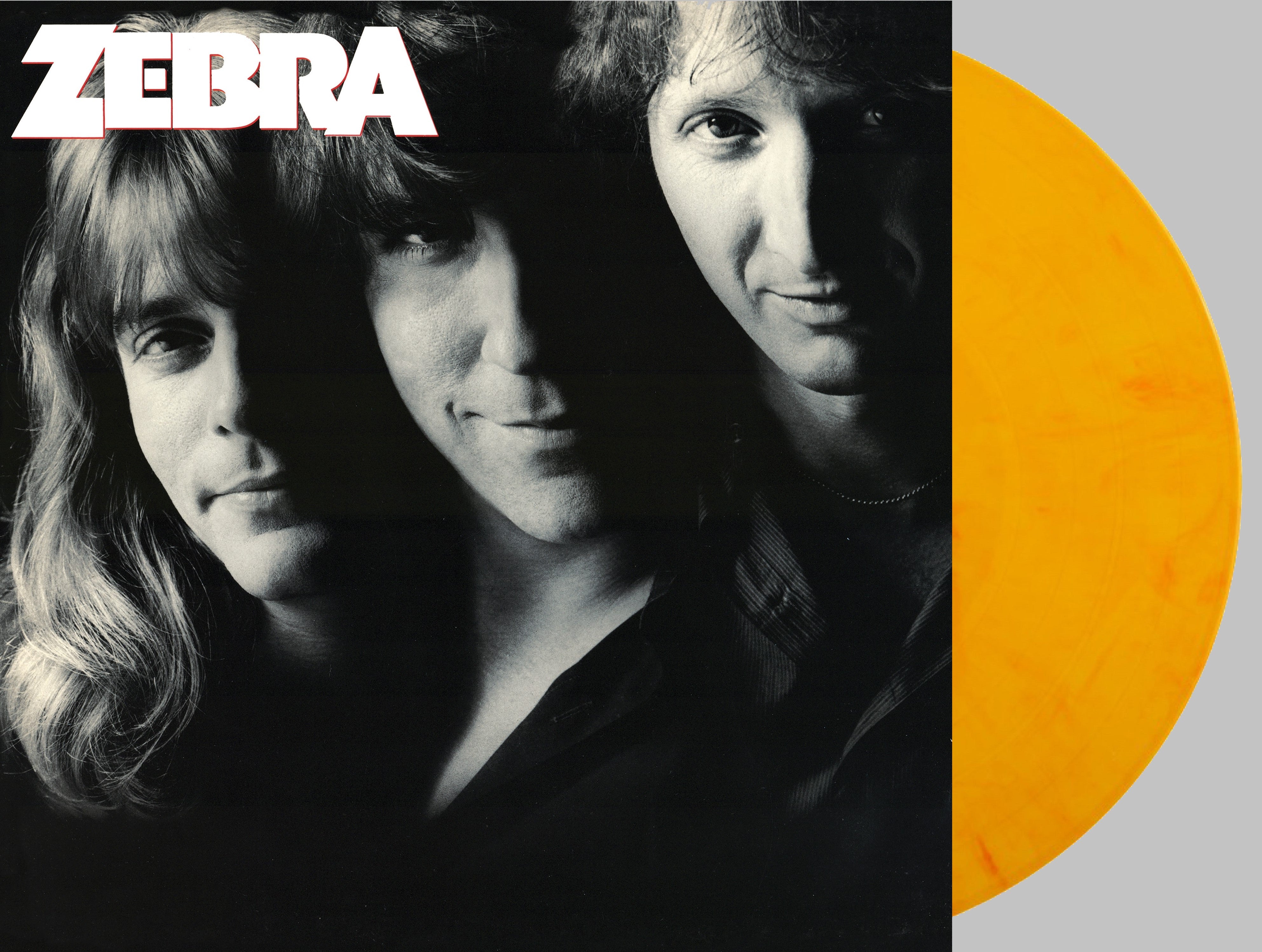zebra-zebra-vinyl-lp-gold-marble-limited-edition image 1