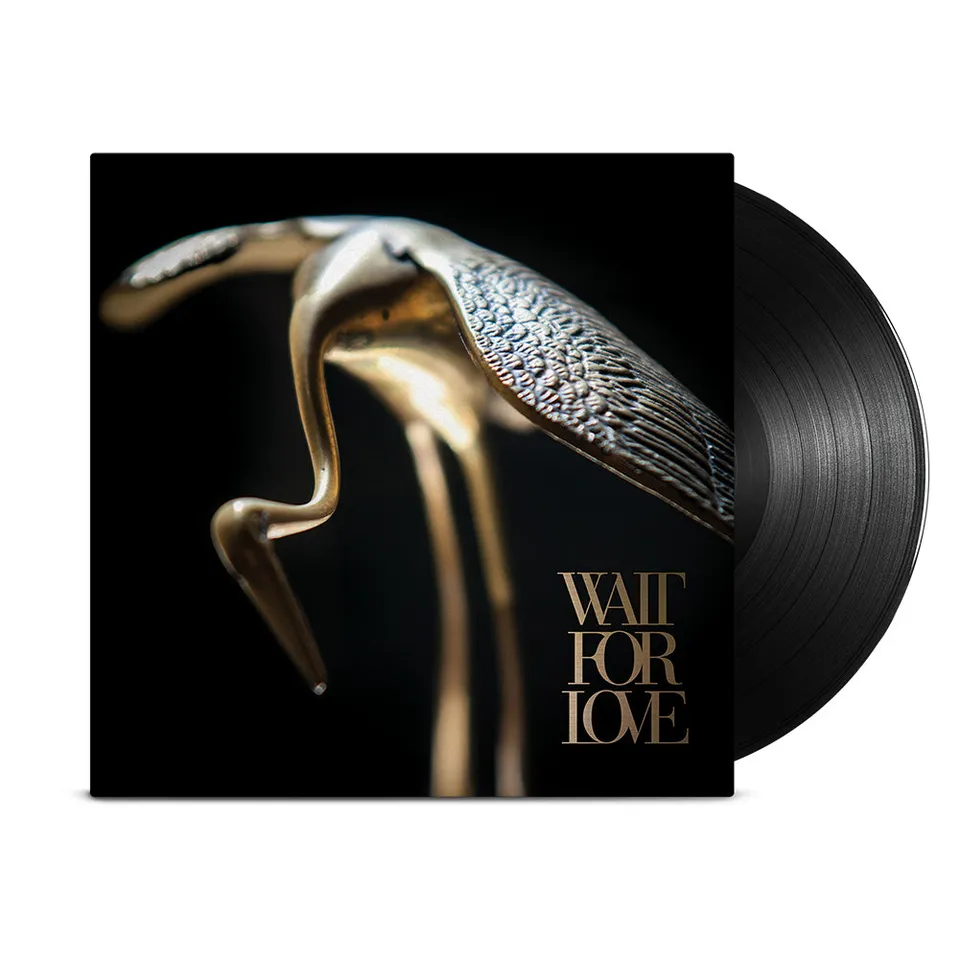 pianos-become-the-teeth-wait-for-love-lp-vinyl-schwarz image 1