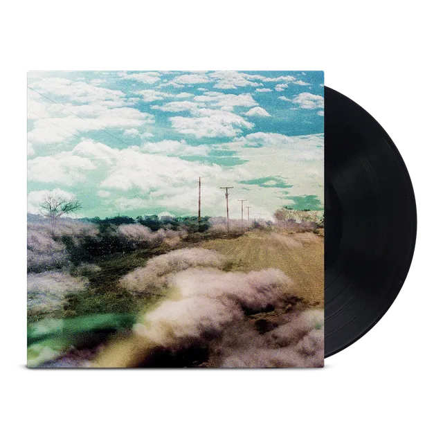 the-world-is-a-beautiful-place-always-foreign-vinyl-lp-schwarz image 1